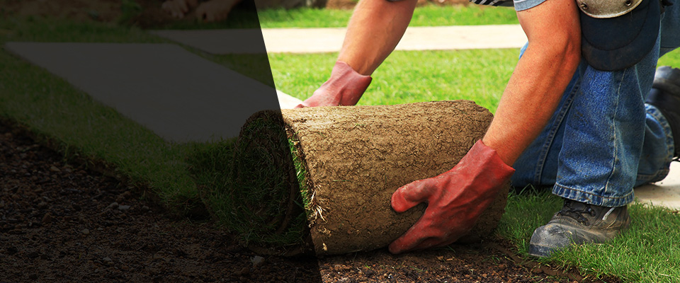 Aransas Pass Landscapers